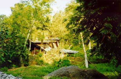 Bukit Lawang is a station for orangutan conservation